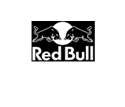 RedBull Moto GP